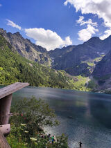 Foto pengguna Misia92p