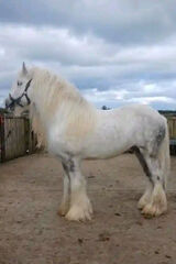 Foto pengguna buttywomack0