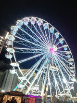 Fotka uživatele p40411312