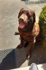 Photos piotr20131971