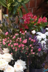 Fotka uživatele Monika3535m