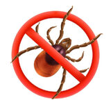 Zdjęcie użytkownika Szajba867