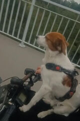 Фотография пользователя sebass21981