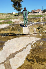 Photos said14012141987