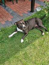 Фотография пользователя szoparpkwppl