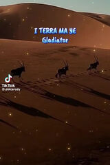 Photos zenobiusz1965