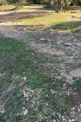 Zdjęcie użytkownika XFIONNEX