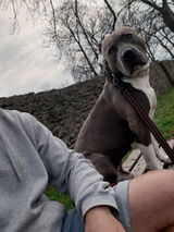 Zdjęcie użytkownika kamilwesoly45