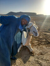 Benutzerfoto ayoublhalawa