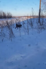 Zdjęcie użytkownika stefanolech562