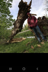 Zdjęcie użytkownika mlod85