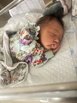 Фотография пользователя DominikaWozniak24