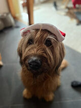 Zdjęcie użytkownika danielwos754