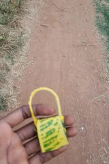 Zdjęcie użytkownika Katty11