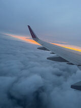 Fotka uživatele ZakazanyOwocc