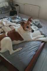 Фотография пользователя emiliaglebocka90