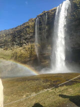 Foto pengguna ZakazanyOwocc