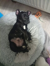 Zdjęcie użytkownika AlicjaMierzwa