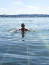 Zdjęcie użytkownika Poll45