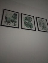 Zdjęcie użytkownika MirekZielonka1960