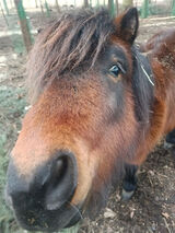 Benutzerfoto Lionelo