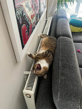 Foto pengguna tonyaomasik