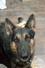 Foto pengguna bialy3526