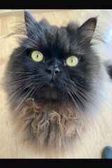 Zdjęcie użytkownika Ciuk521