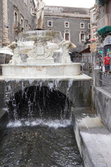 Zdjęcie użytkownika Brooklyn1609