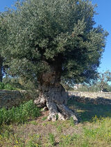 Photos PabloPablo1979