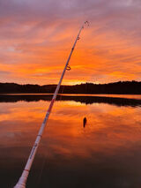 Photos dkalinowski83