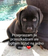 Zdjęcie użytkownika u0501059721