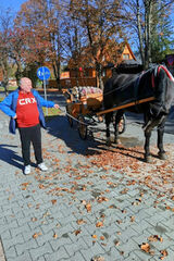 Фотография пользователя Darek2025