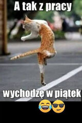 Fotka uživatele speedCat