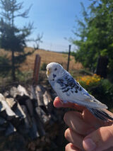 Фотография пользователя Demineq