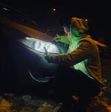 Foto pengguna kaligmsp