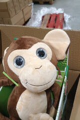 Foto utilizatorului u2437498194