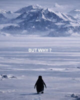 Foto pengguna lukaszz29