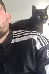 Foto pengguna karlotto97