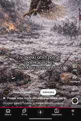 Zdjęcie użytkownika michalniezidenty29