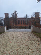 Benutzerfoto Piter111111