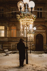 Benutzerfoto MKlaudiusz