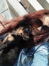 Benutzerfoto kingakryza2