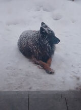 Фотография пользователя GanjaHitPL