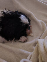 Foto pengguna Vicca99