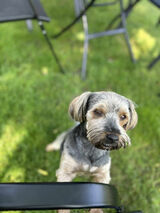 Foto utilizatorului StanczakP