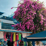 Fotka uživatele BadiC