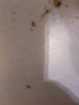 Benutzerfoto Jerzykkkk