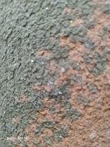 Zdjęcie użytkownika Borys43