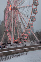 Foto utilizatorului adusza05